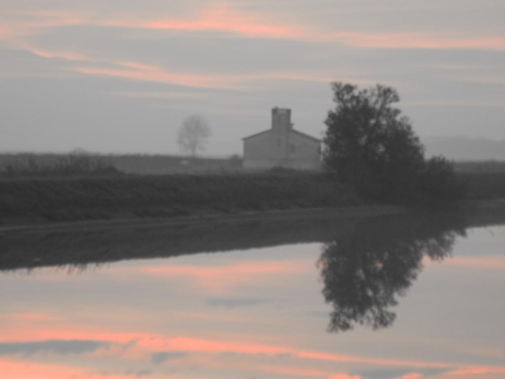 Villetta Logonovo ลิโดดิสปีนา ภายนอก รูปภาพ